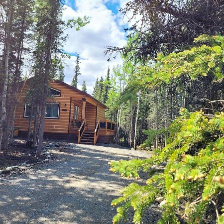 Denali Wild Stay - Moose Cabin, Free Wifi, 2 Private Bedrooms, Sleep 6 ฮีลี ภายนอก รูปภาพ