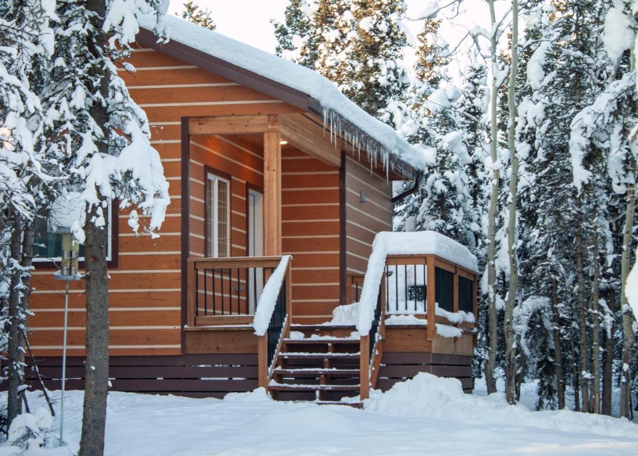 Denali Wild Stay - Moose Cabin, Free Wifi, 2 Private Bedrooms, Sleep 6 ฮีลี ภายนอก รูปภาพ