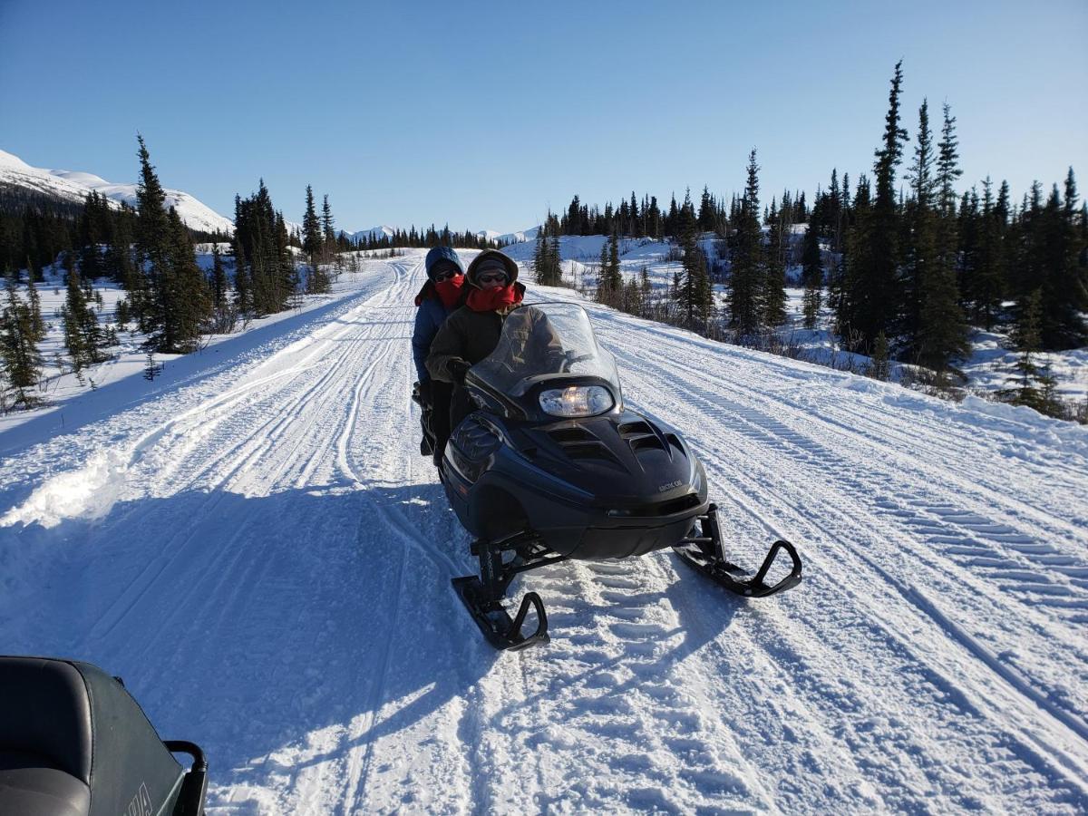 Denali Wild Stay - Moose Cabin, Free Wifi, 2 Private Bedrooms, Sleep 6 ฮีลี ภายนอก รูปภาพ