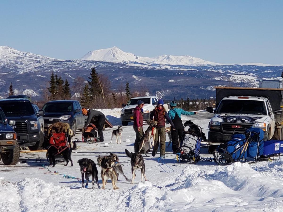 Denali Wild Stay - Moose Cabin, Free Wifi, 2 Private Bedrooms, Sleep 6 ฮีลี ภายนอก รูปภาพ