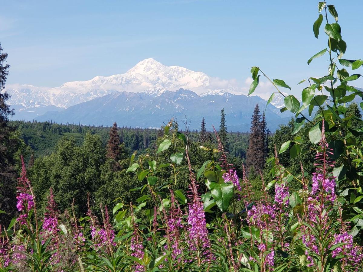 Denali Wild Stay - Moose Cabin, Free Wifi, 2 Private Bedrooms, Sleep 6 ฮีลี ภายนอก รูปภาพ