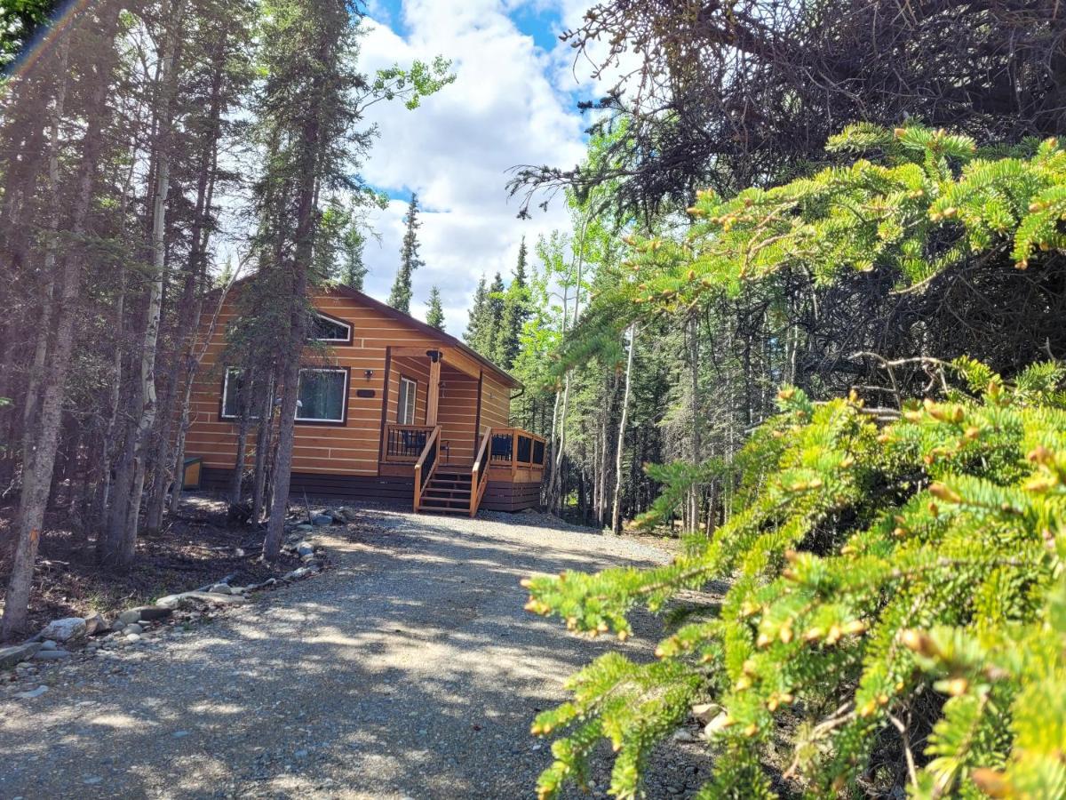 Denali Wild Stay - Moose Cabin, Free Wifi, 2 Private Bedrooms, Sleep 6 ฮีลี ภายนอก รูปภาพ